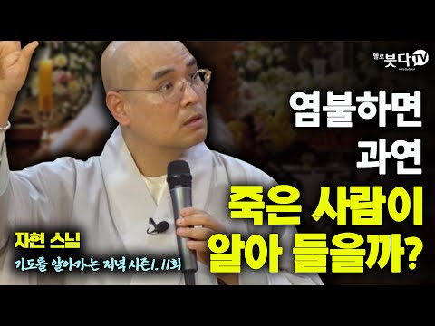 염불하면 과연 죽은 사람이 알아들을까? | 영혼 영가 망자 49재 천도재 염불 천도 |자현스님의 기도를 알아가는 저녁 시즌1 11회