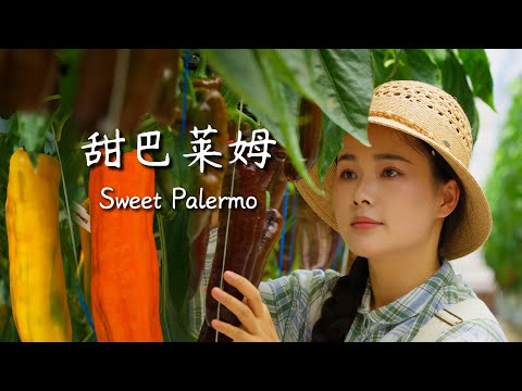 Sweet Palermo — The Rainbow on the Palates of Yunnan People【滇西小哥】
