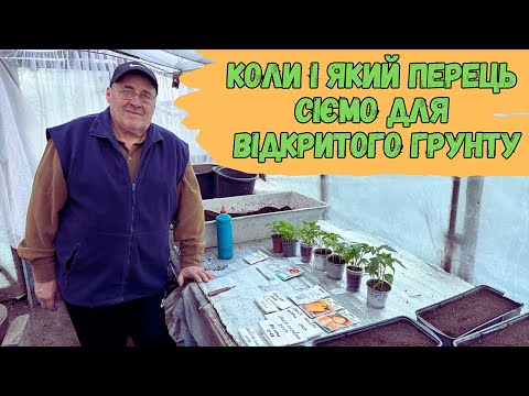 Коли і який перець сіємо для відкритого грунту