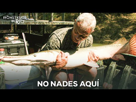 Gigantes Del Agua Dulce | T1 | Monstruos de Río