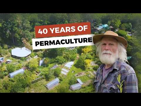 Three Brothers Homestead 40 years of Permaculture