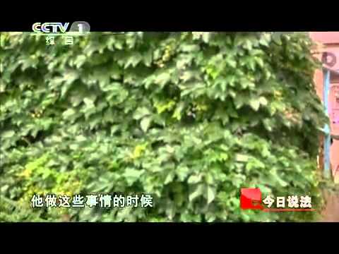 今日说法 聚焦宋山木强奸案