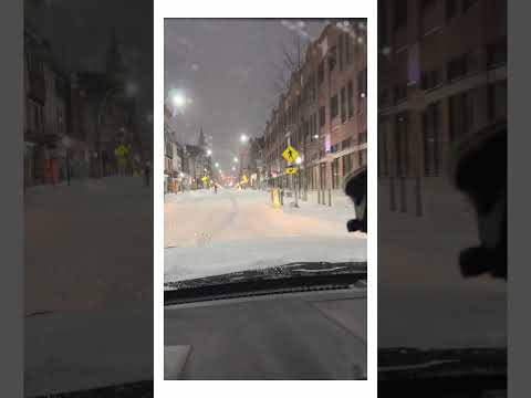 Winter Storm 2026! #blizzard #weather #snow #adventure #shorts