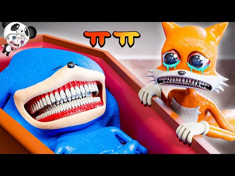 신소닉이 죽었어 ㅠㅠ 너클 테일즈 에이미의 소중한 친구였는데 ㅠㅠ 그리울거야 소닉 ㅠㅠ 애니메이션 상황극 [꿈토이 꿀잼 리액션]