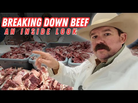 The Butcher Shop: An Inside Look Processing Beef | Bar 7 Ranch