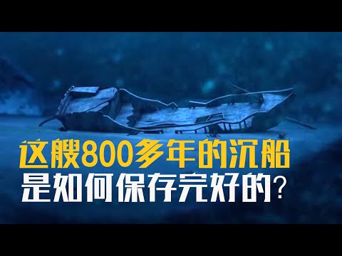 神秘的“南海一号”终于找到了！这艘800多年的沉船是如何保存完好的呢？《南海一号发现记》（2）| 中华国宝