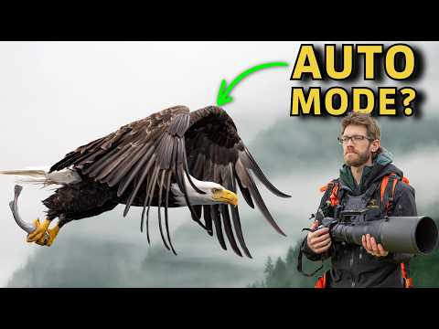 Why PROs Rely on Manual Mode with Auto ISO for Wildlife Photography