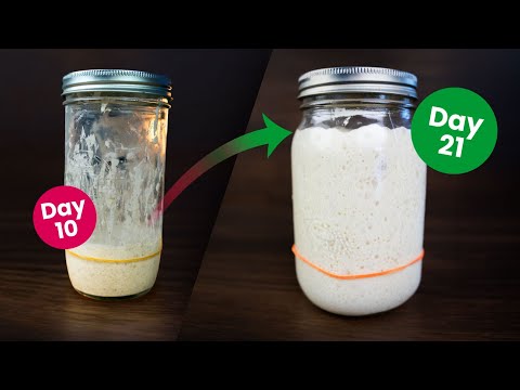 Easy No-Fail Sourdough Starter Tutorial | Day-by-Day Guide