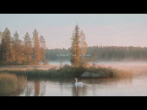 a playlist for a quiet and peaceful life