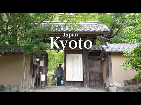[Kyoto] Beautiful places to visit in autumn and dining at a traditional townhouse