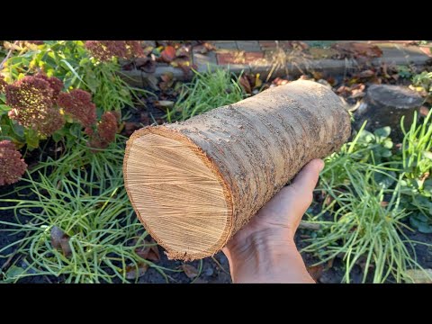 DIY Cherry Barrel | Wooden Cherry Barrel | How to Make a Wooden Barrel