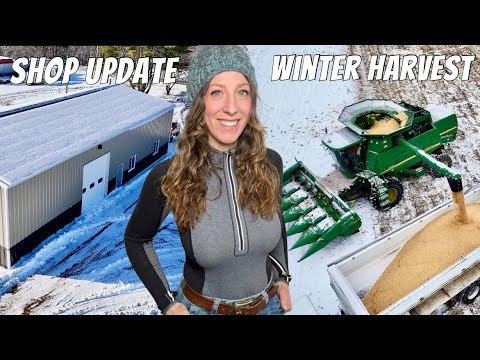 Winter Harvest, Shop Update & More!