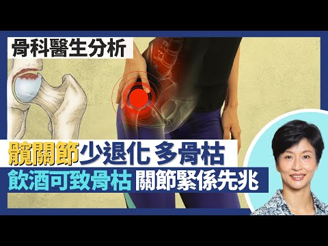 髖關節痛症＋骨枯｜髖關節退化少 多骨枯／缺血性壞死！飲酒是髖關節骨枯成因 類固醇食幾個月亦高危！骨枯初期無痛楚 剪腳甲關節緊、長短腳可能是先兆？｜王建芳醫生 骨科醫生張文康醫生｜人類健康研究所