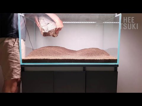 A Man Creates a Stunning Natural Fish Tank at Home [Building Process] Spring Hill