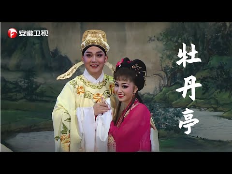 黄梅戏《牡丹亭》也很好听, 杜丽娘柳梦梅的对唱不输七仙女董永【相约花戏楼】 #戏曲 #黄梅戏