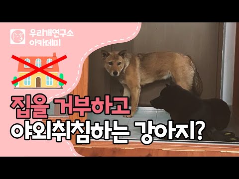 ๐คฌ์ค๋ด๊ฑฐ๋ถ! ๐ ์ง์ ๋ค์ด๊ฐ์ง ์๊ณ ๐์ผ์ธ์ทจ์นจ ํ๋ ๐ ๊ฐ์์ง๋ค #์ฐ๋ฆฌ๊ฐ์ฐ๊ตฌ์ #์ธํ๋ฆฌ๊ต์ก #์ธํ๋ฆฌ์์ก