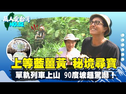 《萬人愛台灣》【深山中的雲霄飛車  90度斜坡免繫安全帶 / 隨採隨吃  有機無毒吃到飽 / 頂級貨藍薑黃  苦味也登頂 /  地表最會射  持久有擋頭】 台灣第一等