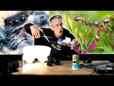 Macro photography like a BOSS 😎 Build your own flash diffuser!