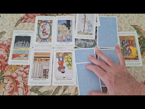 504. Meghan, plain old Mrs Whinger. How will she cope?