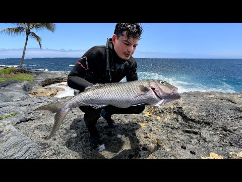 Hawaii Shore Dive For Uku