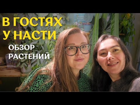 A BRIGHT, stylish INTERIOR with a LARGE collection of PLANTS | visiting ANASTASIA ✨