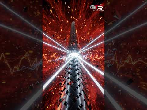 cat8 vs cat 8 1 short video