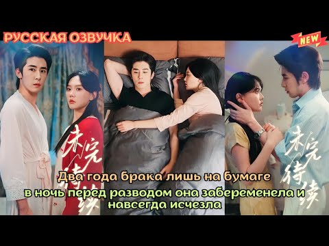 Два года брака лишь на бумаге в ночь перед разводом она забеременела и навсегда исчезла