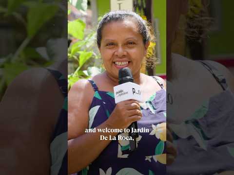 Visiting a Garden Oasis in the South Bronx