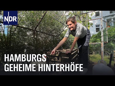 Hamburg: Einblick in 20 Hinterhöfe | die nordstory | NDR Doku