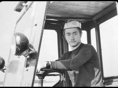 Семеноводство и технология производства картофеля, 1975