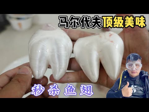《环球探海记》马尔代夫 第9天：今天赶海被我猎奇到的美味，你们见过没？   #马尔代夫 #赶海 #旅拍 #海岛自由行 #马代居民岛