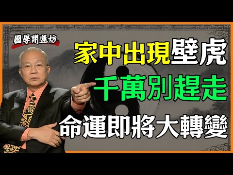 家中出現壁虎，千萬別趕走，命運即將大轉變！