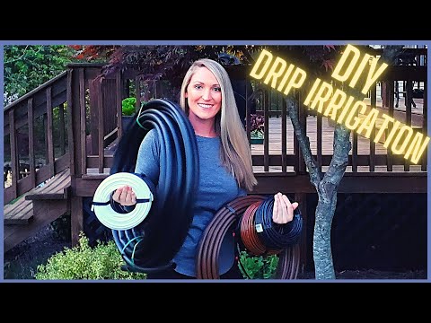 DIY Drip Irrigation: The Ultimate Easy Beginners Guide On How To Install A Drip Irrigation System