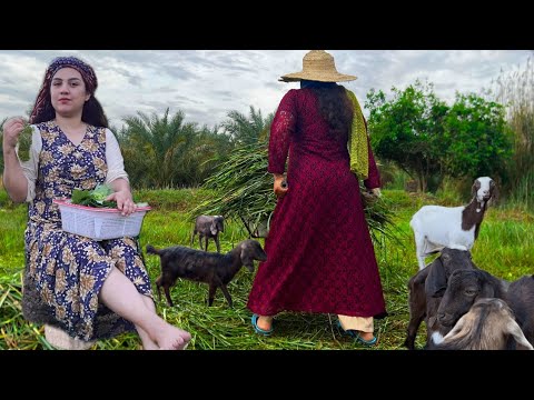 Rural Delights: Crafting Dolma & Village Life Vlog