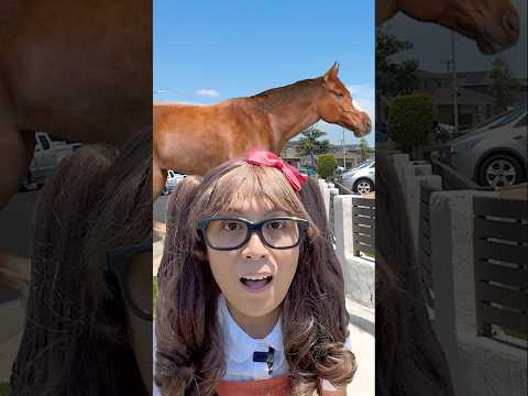 Soso Catches a Horse with Lettuce!