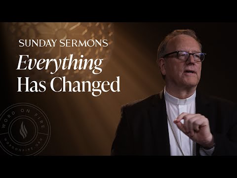 Everything Has Changed - Bishop Barron's Sunday Sermon