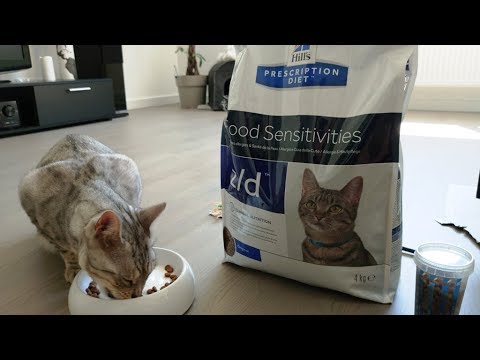 Кот ворует конфеты \ Распаковка \ Кот дерет диван \ Лечебный Корм для Кота.