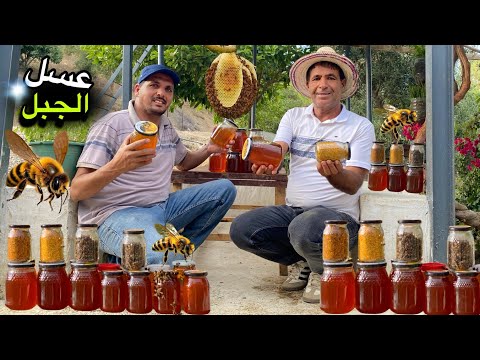 Harvesting Natural Honey... The Moment of Extracting Liquid Gold!