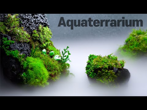 Making a mist-filled Aquaterarium