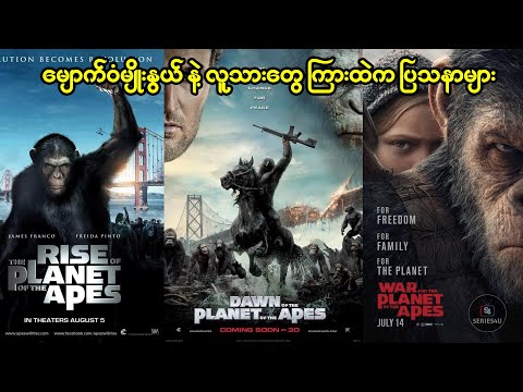 မျောက်ဝံမျိုးနွယ် နဲ့ လူသားတွေ ကြားထဲက ပြသနာများ -  Series4U - Recap