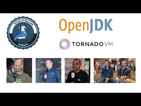 OpenJDK Projects (Leyden, Babylon, Panama) and TornadoVM (#82)