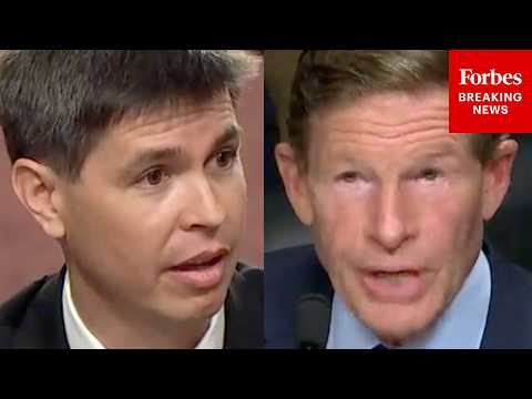 'Who Won The 2020 Election?': Richard Blumenthal Gets Fed Up While Grilling Trump Judge Nominee