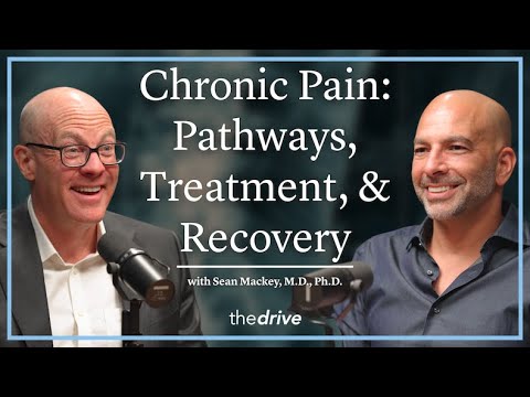 345 ‒ Chronic pain: pathways, treatment, and the path to physical and psychological recovery