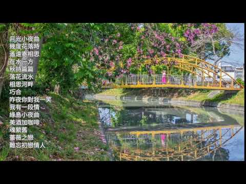 無廣告國語老歌鋼琴演奏🎹月光小夜曲.幾度花落遙遠寄相思.在水一方.秋詩篇篇.落花流水.相思河畔.巧合.昨夜你對我一笑.我有一段情.綠島小夜曲.美酒加咖啡.魂縈舊夢.薔薇之戀.難忘初戀情人～