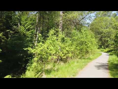 What if I am a solo dev?