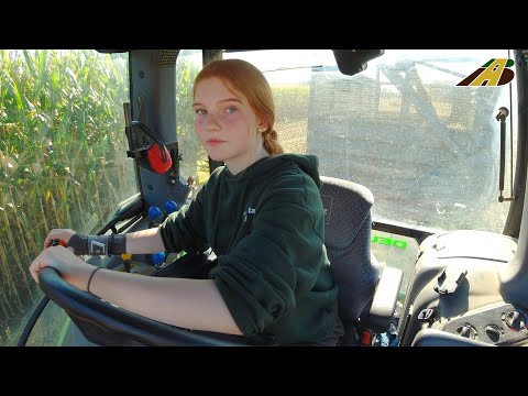 Maisernte 2023 Bauernhof Büsch GBR Ausbildungsbetrieb & Lohnunternehmer beim Maishäckseln für Kühe