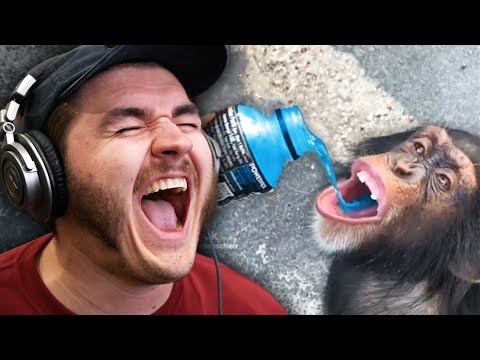 Ranking Your CURSED Tiktoks