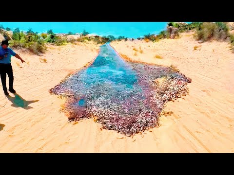 One in A Billion Moments in Nature