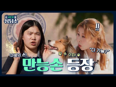 박세미의 모교 방문! 후배들 텐션 폭발💥｜교문 앞 상담소 EP.6 일신여자상업고등학교 편