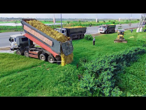 First Day Start Opening New Project!Delete Huge lake Sideroad, Bulldozer D31P Pushing Soil Perfectly